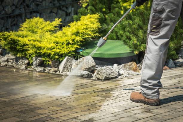 Best Dumpster Area Cleaning  in Wantagh, NY