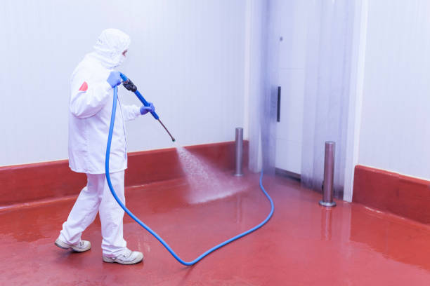 Best Spring Cleaning  in Wantagh, NY