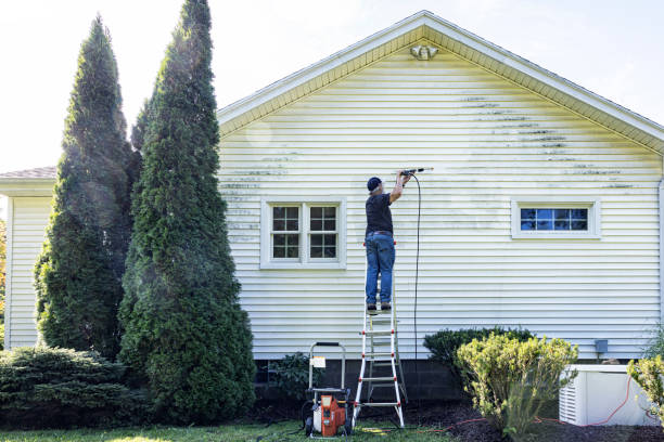 Best Building Exterior Washing  in Wantagh, NY